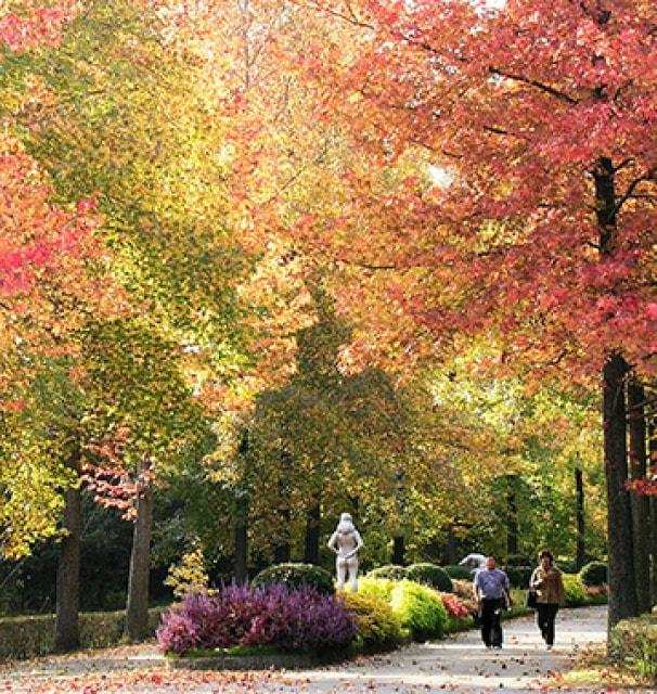 【紅葉・見ごろ】兵庫県立フラワーセンター