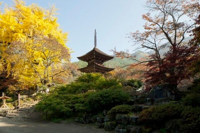 【紅葉・見ごろ】別所温泉