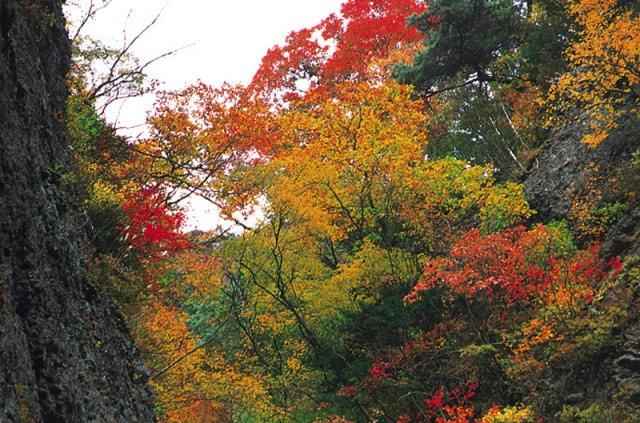 【紅葉・見ごろ】角間渓谷