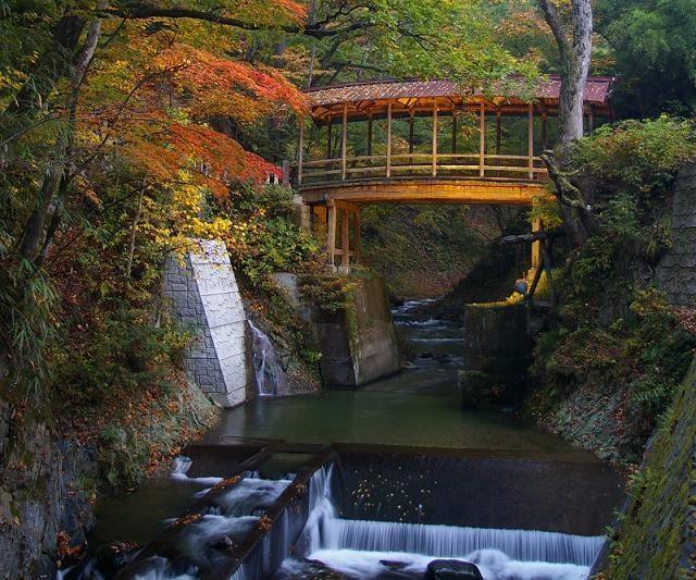 【紅葉・見ごろ】鹿教湯温泉