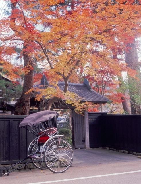 【紅葉・見ごろ】角館