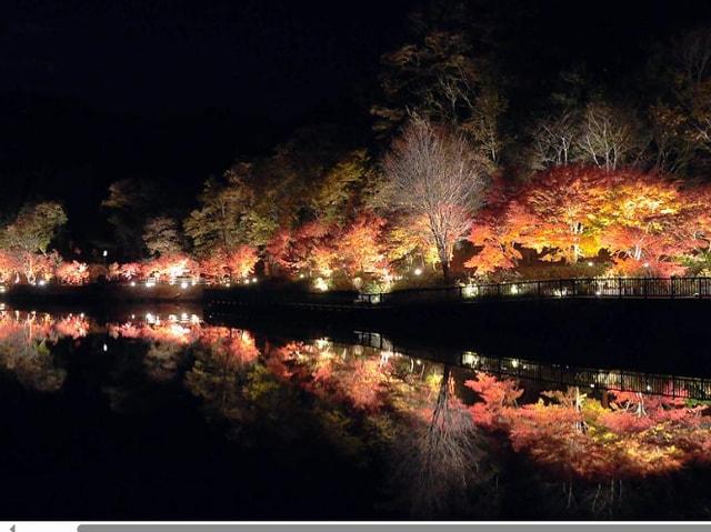 ふじおか紅葉まつり