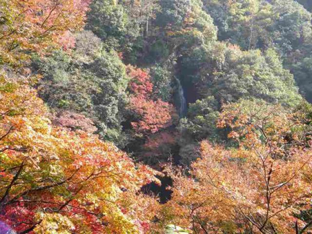 【紅葉・見ごろ】白滝公園