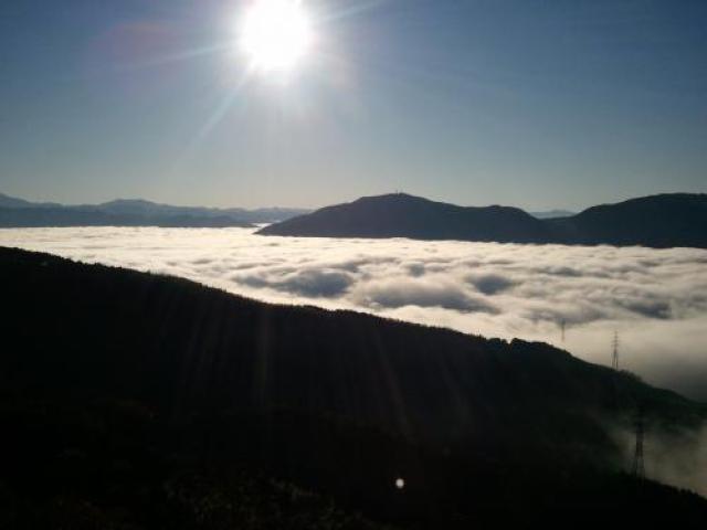 大洲の雲海