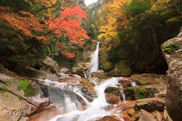 【紅葉・見ごろ】奈良県十津川村「笹の滝」