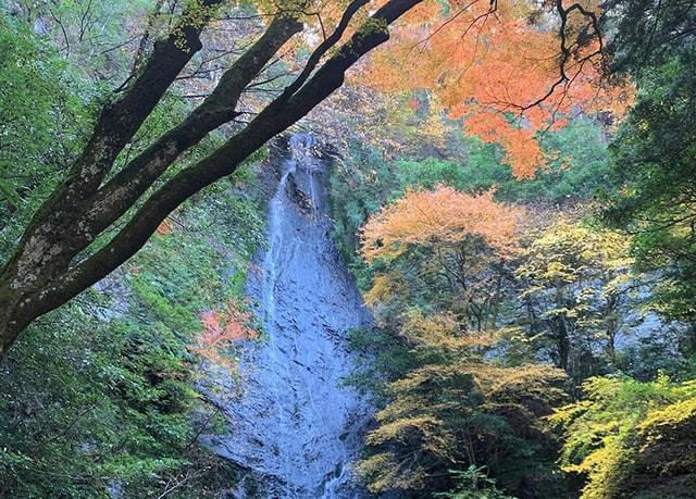 【紅葉・見ごろ】琴滝