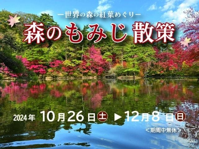 ～世界の森の紅葉めぐり～ 森のもみじ散策