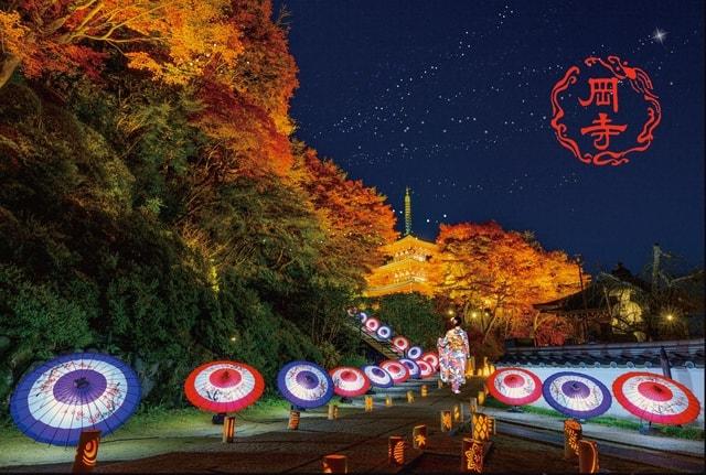 もみじ回廊岡寺紅葉ライトアップ「光の巡礼」