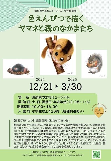 2024年冬特別作品展『色えんぴつで描く、ヤマネと森のなかまたち』