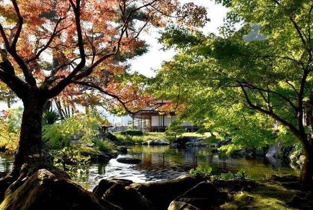 【紅葉・見ごろ】仙巌園