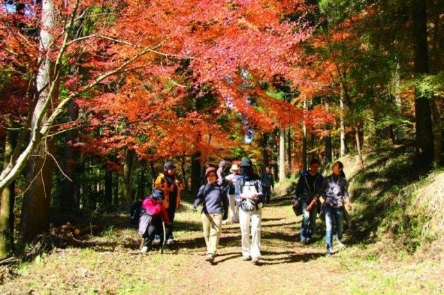 【紅葉・見ごろ】悠久の森