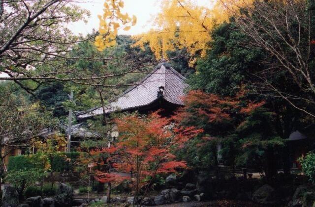 【紅葉・見ごろ】宝満寺