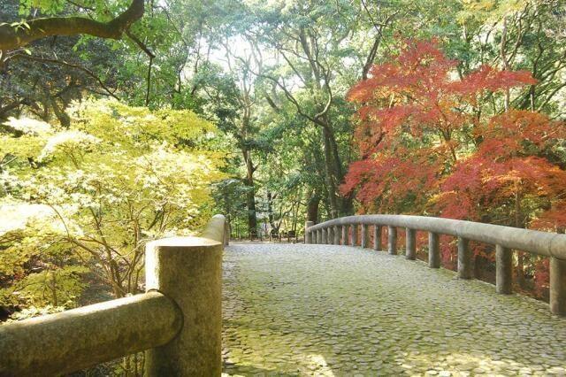 【紅葉・見ごろ】吾平山上陵（あいらさんりょう）