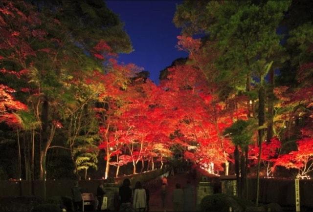 松雲山荘紅葉ライトアップ