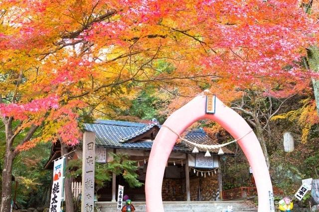 【紅葉・見ごろ】桃太郎公園