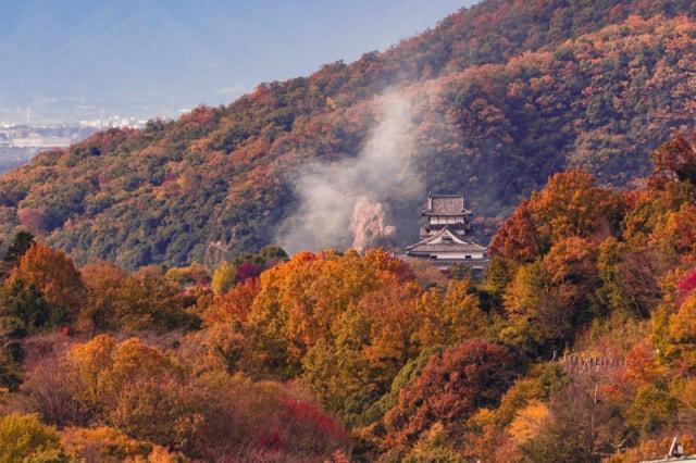 【紅葉・見ごろ】国宝犬山城