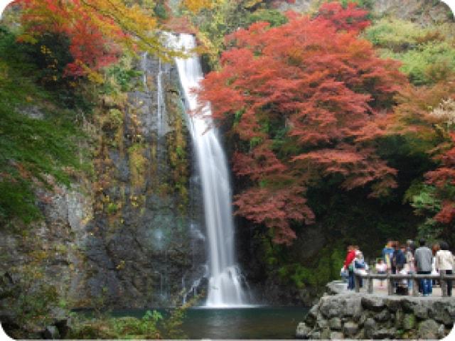 【紅葉・見ごろ】明治の森箕面国定公園