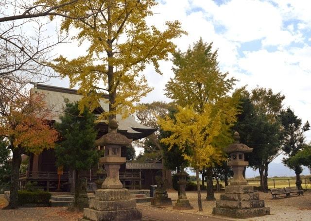 【紅葉・見ごろ】七夕神社