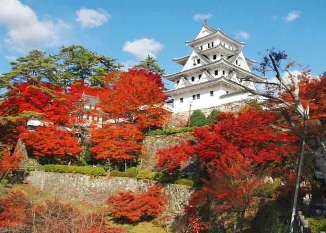 郡上八幡もみじまつり