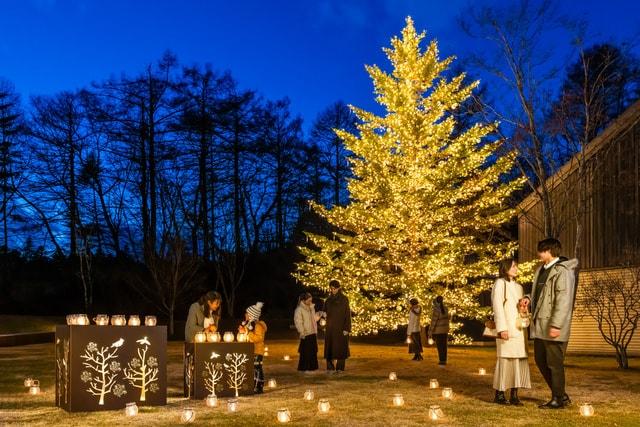 軽井沢星野エリアのクリスマス