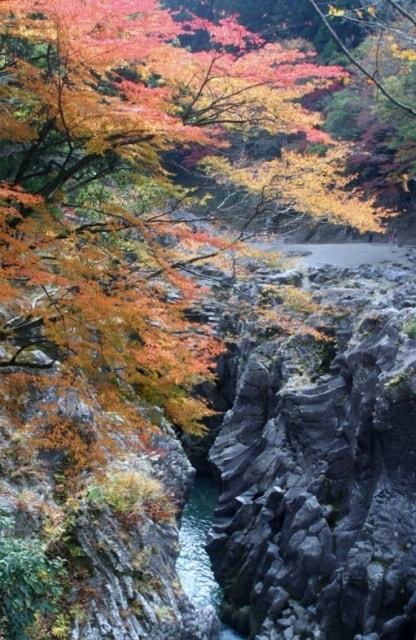 【紅葉・見ごろ】高千穂峡