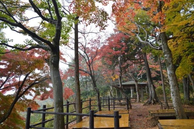 太平山もみじまつり