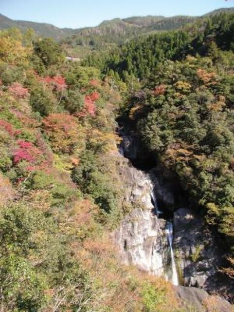 【紅葉・見ごろ】轟の滝