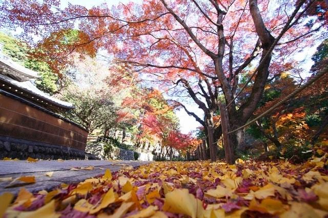 法多山もみじまつり