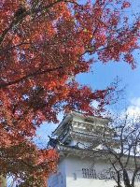 【紅葉・見ごろ】杵築城