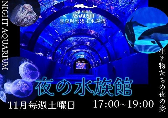 夜の水族館