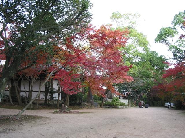 【紅葉・見ごろ】覚苑寺