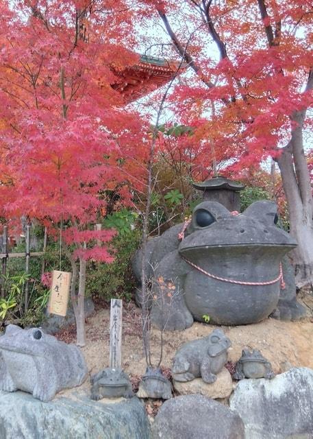 【紅葉・見ごろ】如意輪寺