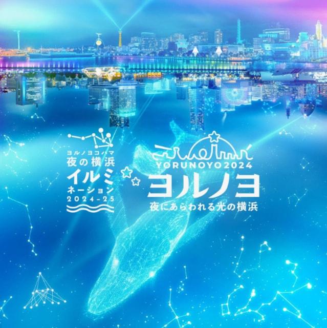 夜の横浜イルミネーション2024-25