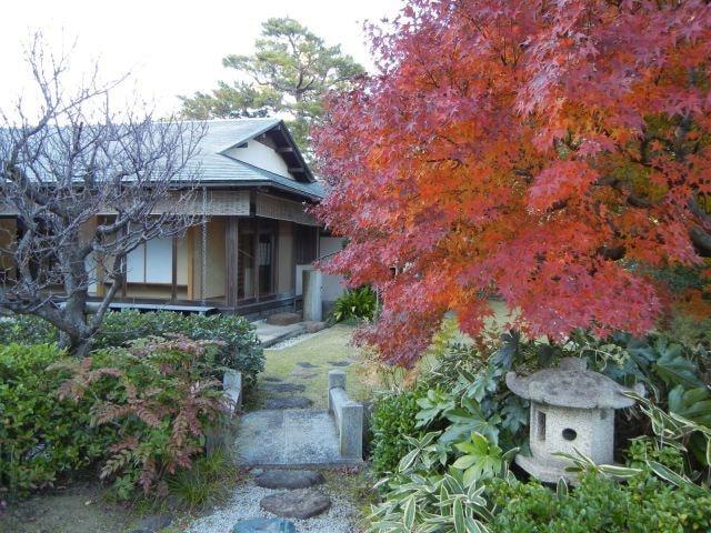 【紅葉・見ごろ】あけぼの山公園　さくら山　日本庭園