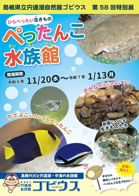 第58回特別展「ぺったんこ水族館」