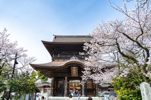 初詣　阿蘇神社