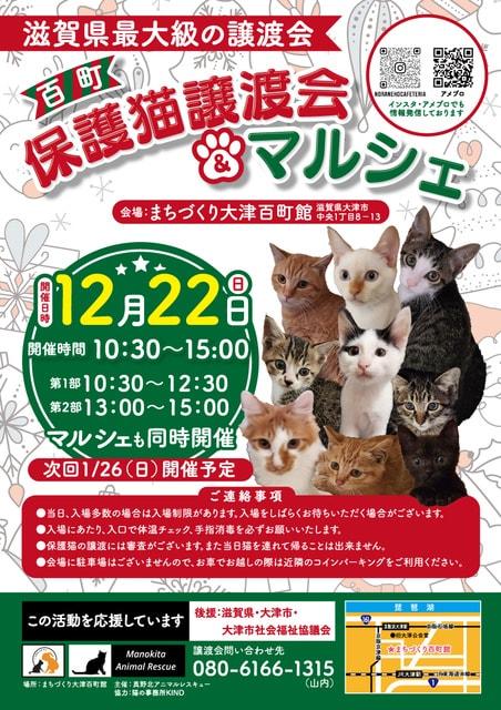 百町保護猫譲渡会＆マルシェ