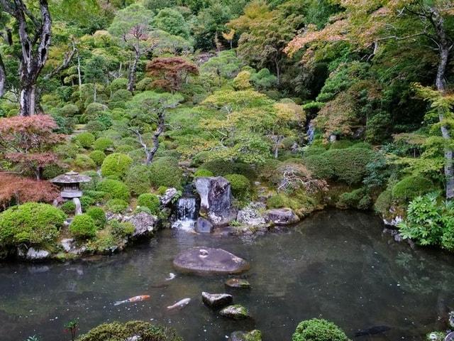 修禅寺　庭園特別公開