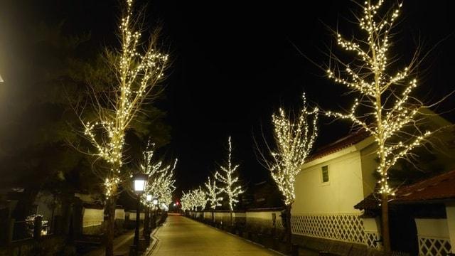 津和野イルミネーション 殿町通り 銀杏並木＆津和野駅駅舎回廊