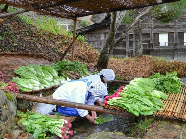 飛騨の里 菜洗い・漬物漬け