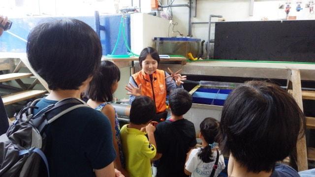 京都大学白浜水族館　バックヤードツアー