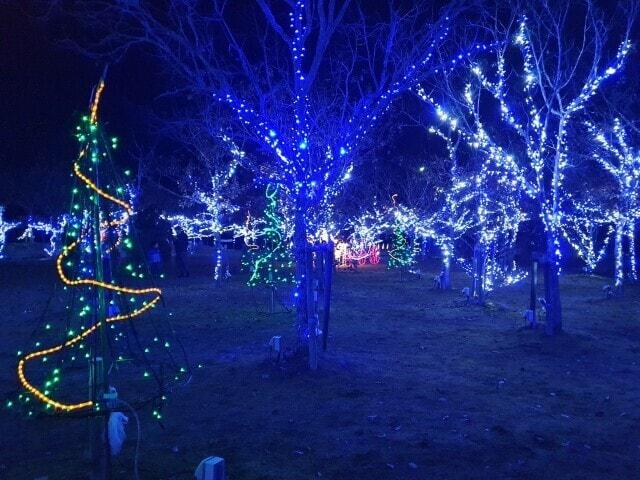 三間の中山池自然公園イルミネーション