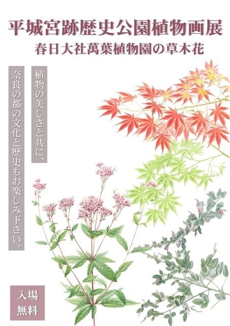 【企画展】平城宮跡歴史公園植物画展～春日大社萬葉植物園の草木花～