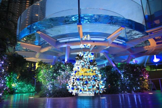 サンシャイン水族館 「青いクリスマス」