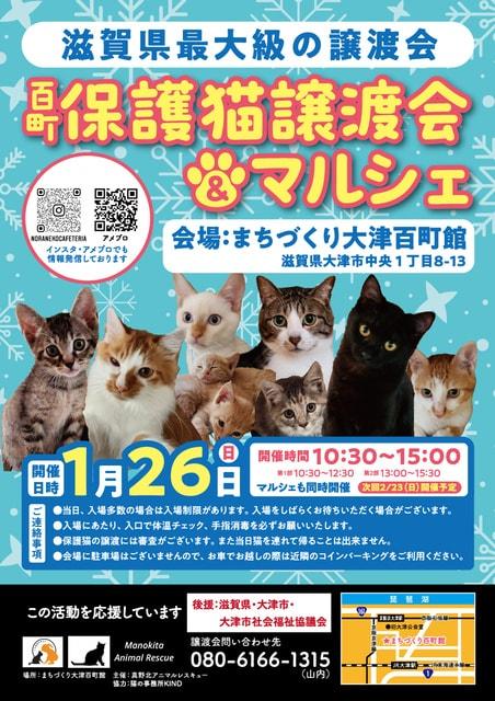 百町保護猫譲渡会＆マルシェ