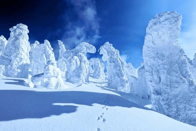 森吉山の樹氷観賞