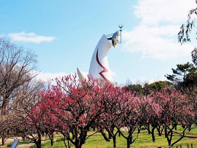 万博記念公園 梅まつり