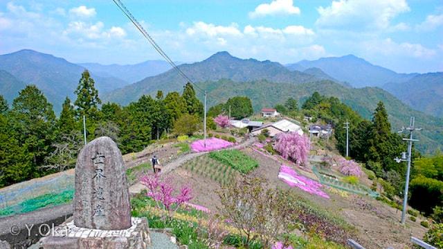 【桜・見ごろ】にほんの里100選果無集落の春