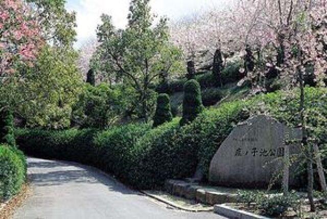 【桜・見ごろ】鹿ノ子池公園