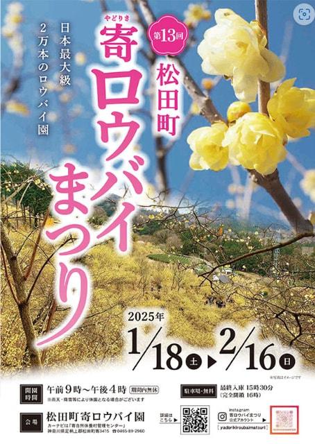 第13回松田町寄ロウバイまつり